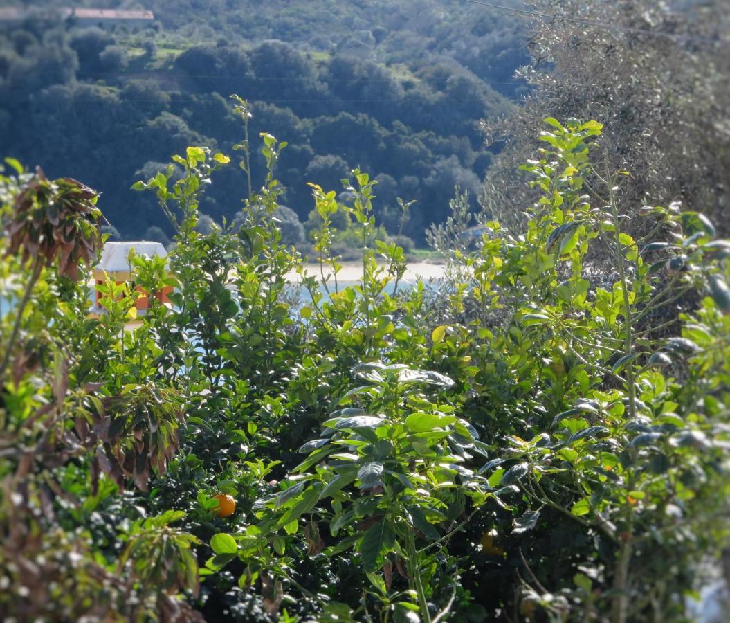 Casa Da Barra Azul By Stay In Alentejo Vila Nova de Milfontes Eksteriør billede